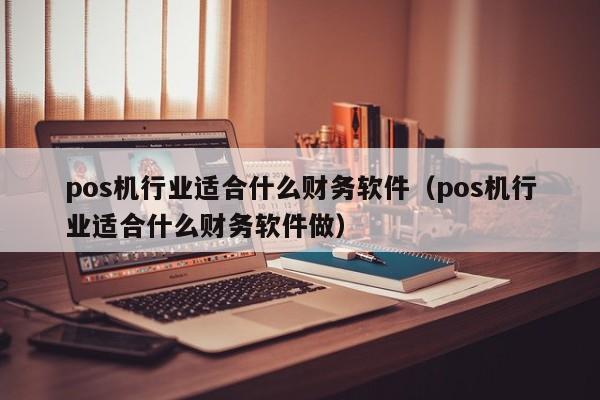 pos机行业适合什么财务软件（pos机行业适合什么财务软件做）