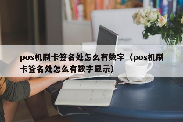 pos机刷卡签名处怎么有数字（pos机刷卡签名处怎么有数字显示）