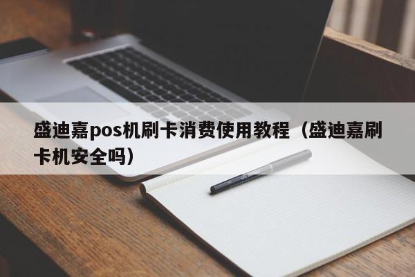 盛迪嘉pos机刷卡消费使用教程（盛迪嘉刷卡机安全吗）