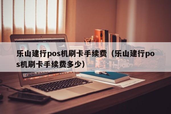 乐山建行pos机刷卡手续费（乐山建行pos机刷卡手续费多少）