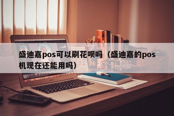 盛迪嘉pos可以刷花呗吗（盛迪嘉的pos机现在还能用吗）