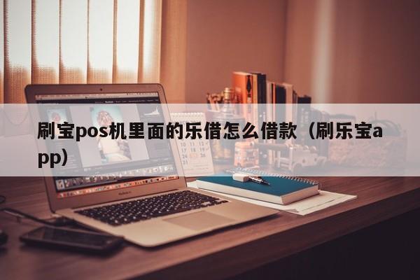 刷宝pos机里面的乐借怎么借款（刷乐宝app）