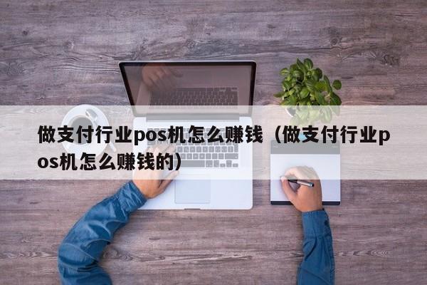 做支付行业pos机怎么赚钱（做支付行业pos机怎么赚钱的）