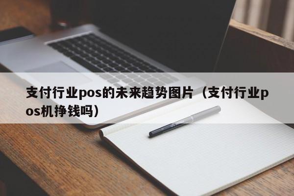 支付行业pos的未来趋势图片（支付行业pos机挣钱吗）