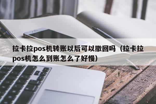 拉卡拉pos机转账以后可以撤回吗（拉卡拉pos机怎么到账怎么了好慢）