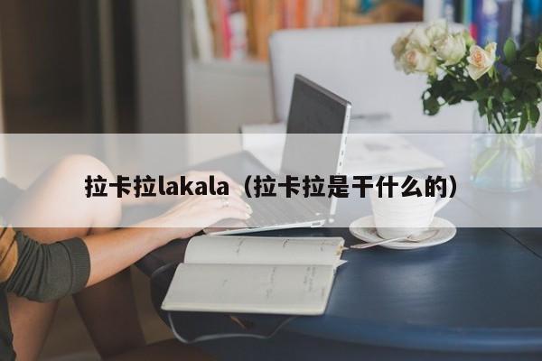 拉卡拉lakala（拉卡拉是干什么的）