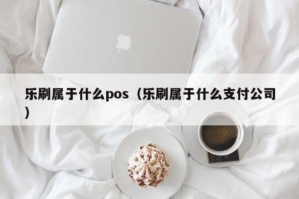 乐刷属于什么pos（乐刷属于什么支付公司）