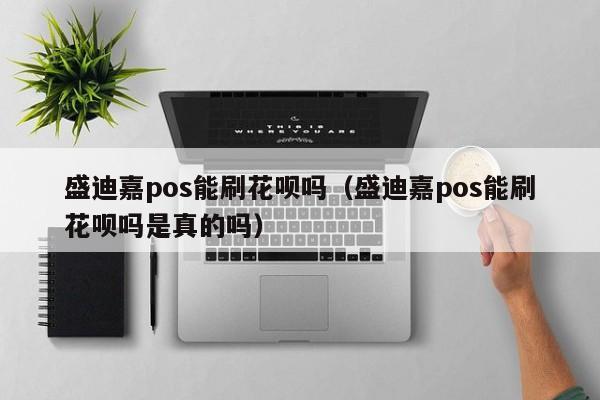 盛迪嘉pos能刷花呗吗（盛迪嘉pos能刷花呗吗是真的吗）