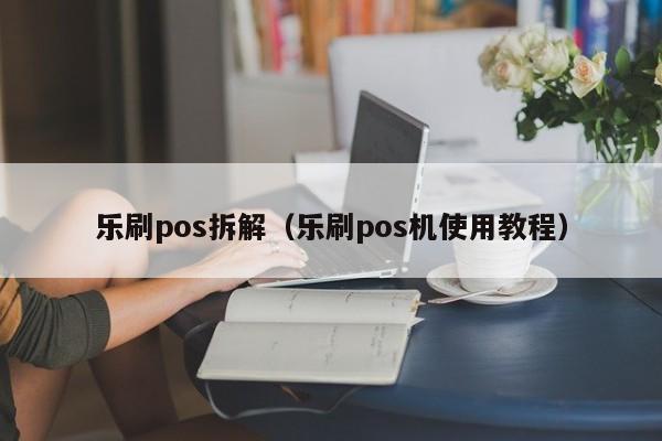 乐刷pos拆解（乐刷pos机使用教程）