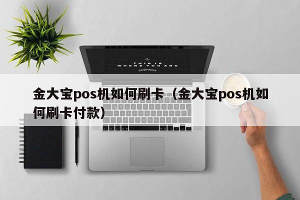 金大宝pos机如何刷卡（金大宝pos机如何刷卡付款）