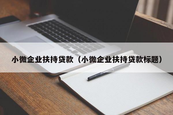 小微企业扶持贷款（小微企业扶持贷款标题）