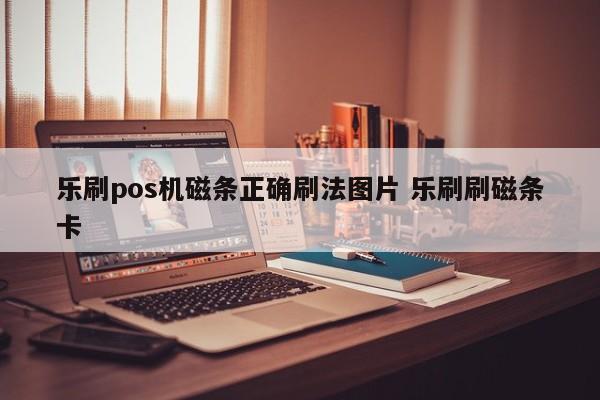 乐刷pos机磁条正确刷法图片 乐刷刷磁条卡