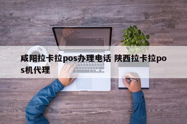 咸阳拉卡拉pos办理电话 陕西拉卡拉pos机代理