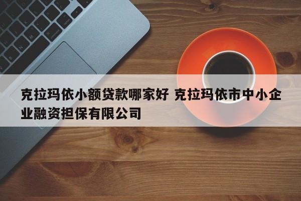 克拉玛依小额贷款哪家好 克拉玛依市中小企业融资担保有限公司