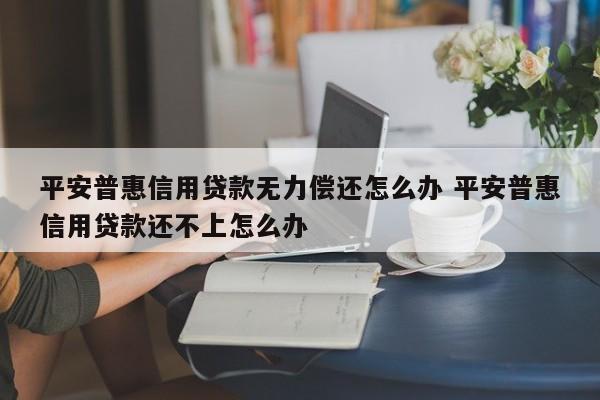 平安普惠信用贷款无力偿还怎么办 平安普惠信用贷款还不上怎么办