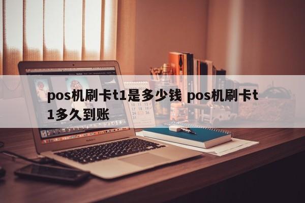 pos机刷卡t1是多少钱 pos机刷卡t1多久到账