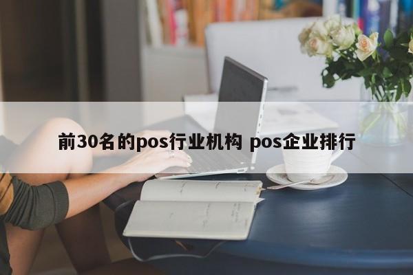 前30名的pos行业机构 pos企业排行