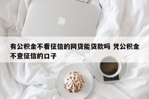 有公积金不看征信的网贷能贷款吗 凭公积金不查征信的口子