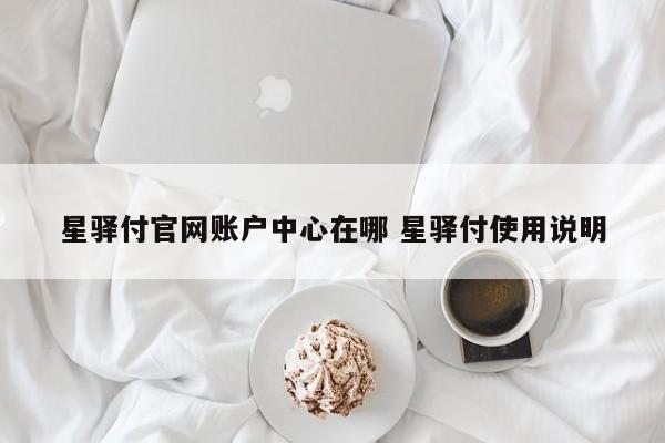 星驿付官网账户中心在哪 星驿付使用说明