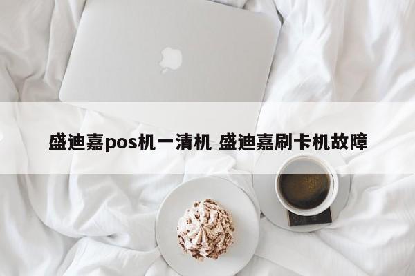 盛迪嘉pos机一清机 盛迪嘉刷卡机故障