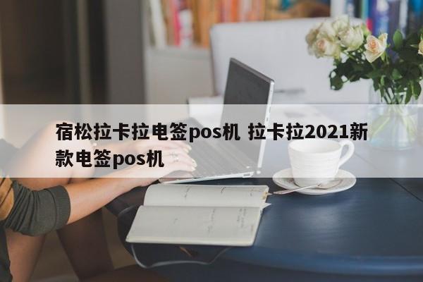 宿松拉卡拉电签pos机 拉卡拉2021新款电签pos机