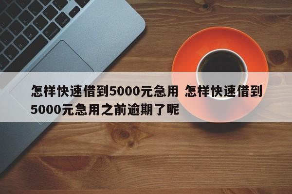 怎样快速借到5000元急用 怎样快速借到5000元急用之前逾期了呢