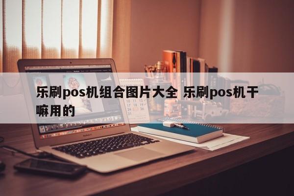 乐刷pos机组合图片大全 乐刷pos机干嘛用的