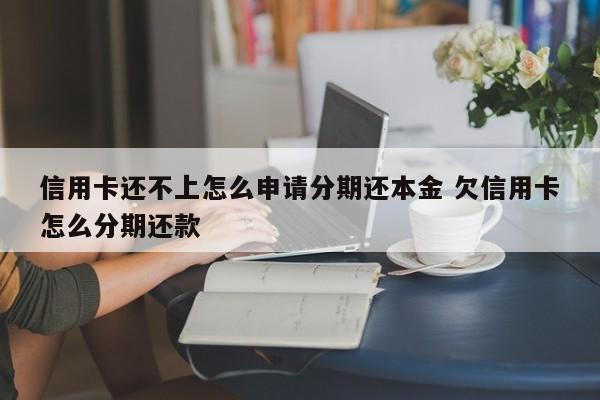 信用卡还不上怎么申请分期还本金 欠信用卡怎么分期还款