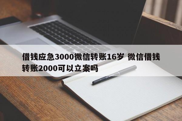 借钱应急3000微信转账16岁 微信借钱转账2000可以立案吗