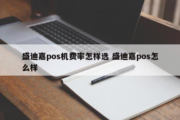 盛迪嘉pos机费率怎样选 盛迪嘉pos怎么样