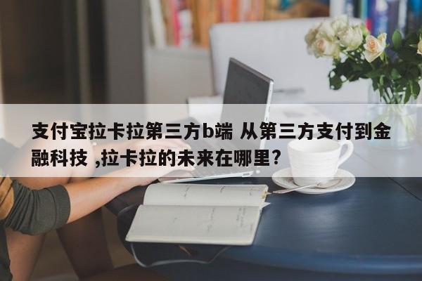 支付宝拉卡拉第三方b端 从第三方支付到金融科技 ,拉卡拉的未来在哪里?