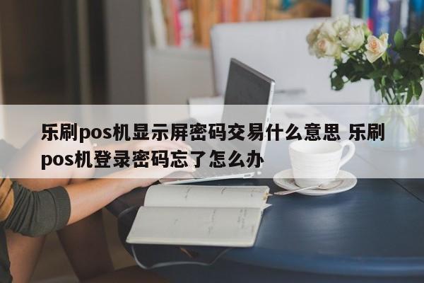 乐刷pos机显示屏密码交易什么意思 乐刷pos机登录密码忘了怎么办