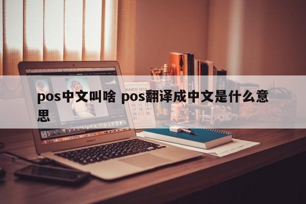 pos中文叫啥 pos翻译成中文是什么意思