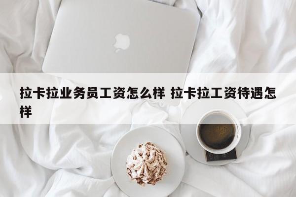 拉卡拉业务员工资怎么样 拉卡拉工资待遇怎样