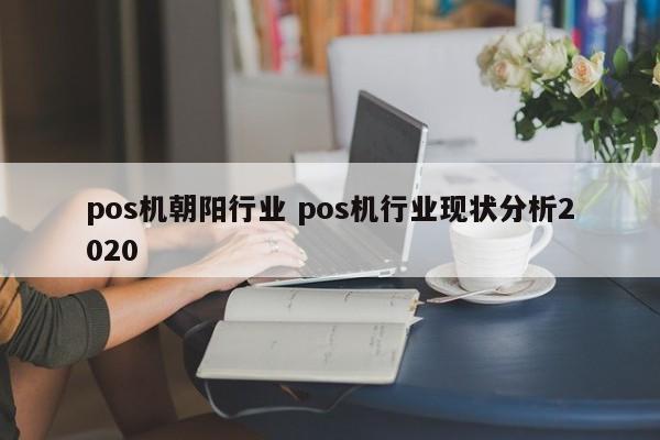 pos机朝阳行业 pos机行业现状分析2020