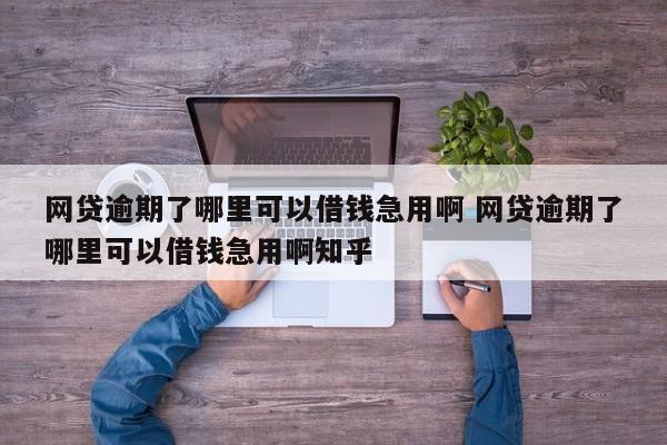 网贷逾期了哪里可以借钱急用啊 网贷逾期了哪里可以借钱急用啊知乎