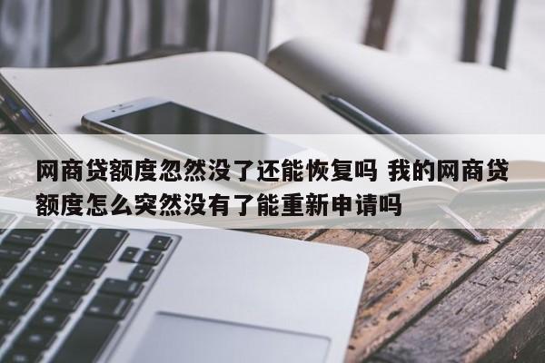 网商贷额度忽然没了还能恢复吗 我的网商贷额度怎么突然没有了能重新申请吗